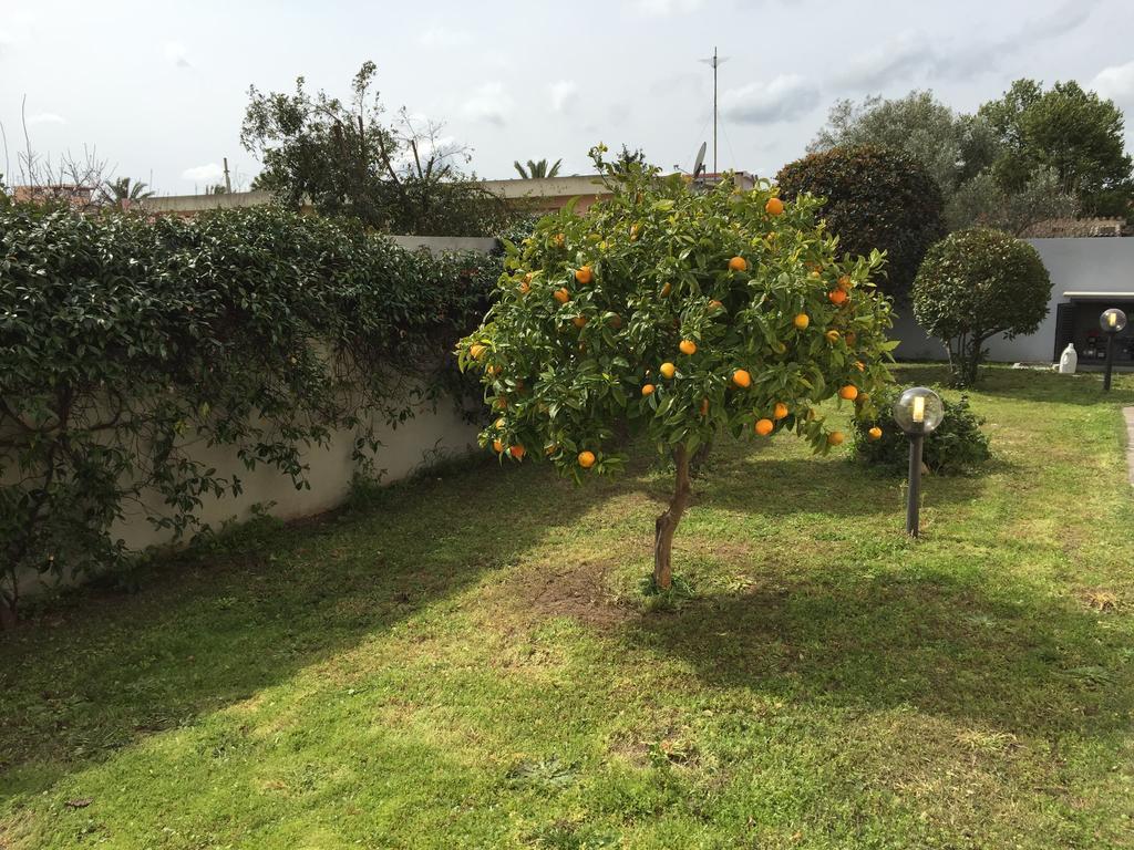 Residence Olbia